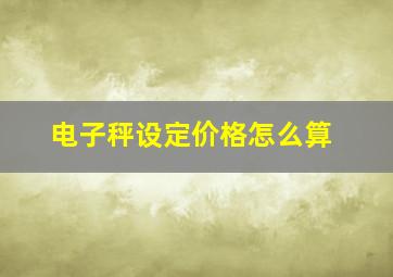 电子秤设定价格怎么算