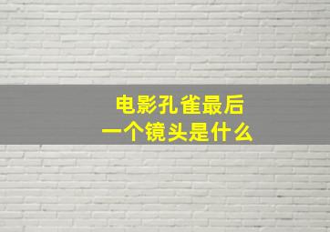 电影孔雀最后一个镜头是什么