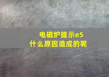 电磁炉提示e5什么原因造成的呢