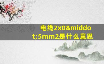 电线2x0·5mm2是什么意思