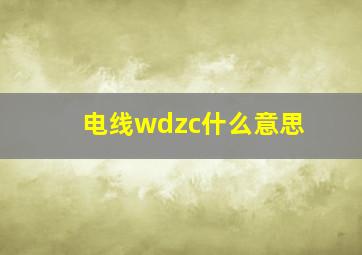 电线wdzc什么意思