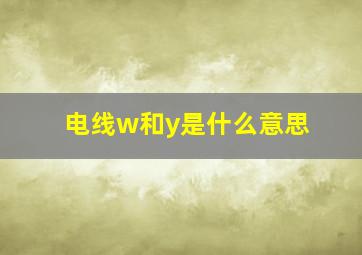 电线w和y是什么意思