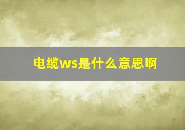 电缆ws是什么意思啊