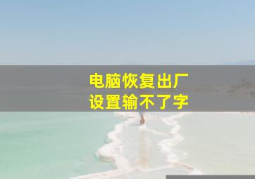 电脑恢复出厂设置输不了字