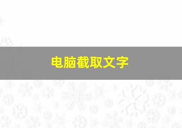 电脑截取文字