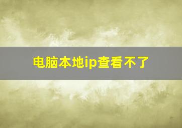 电脑本地ip查看不了