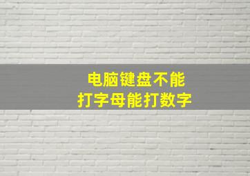 电脑键盘不能打字母能打数字