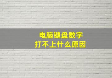 电脑键盘数字打不上什么原因