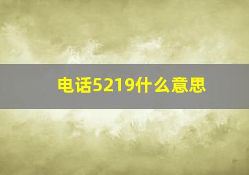 电话5219什么意思