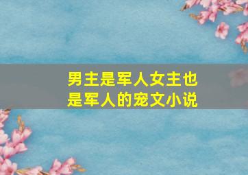 男主是军人女主也是军人的宠文小说