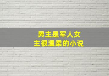 男主是军人女主很温柔的小说