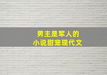 男主是军人的小说甜宠现代文