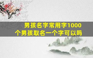 男孩名字常用字1000个男孩取名一个字可以吗