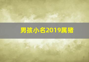 男孩小名2019属猪