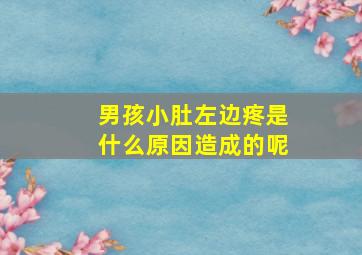 男孩小肚左边疼是什么原因造成的呢