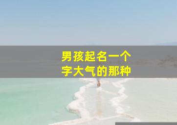 男孩起名一个字大气的那种