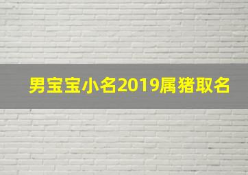 男宝宝小名2019属猪取名