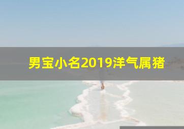 男宝小名2019洋气属猪