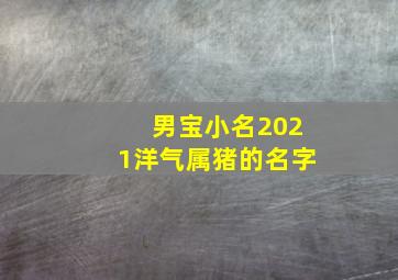 男宝小名2021洋气属猪的名字