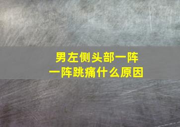 男左侧头部一阵一阵跳痛什么原因