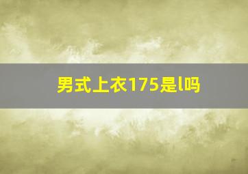 男式上衣175是l吗