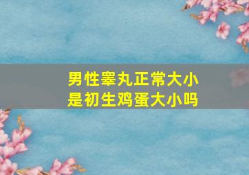 男性睾丸正常大小是初生鸡蛋大小吗