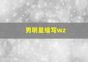 男明星缩写wz