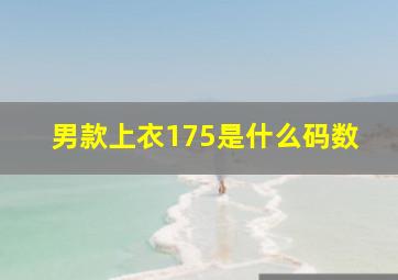 男款上衣175是什么码数