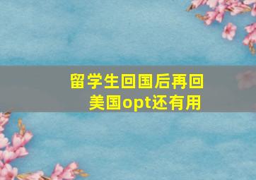 留学生回国后再回美国opt还有用