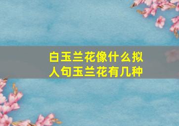 白玉兰花像什么拟人句玉兰花有几种