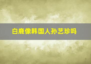 白鹿像韩国人孙艺珍吗