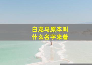 白龙马原本叫什么名字来着