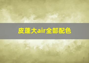 皮蓬大air全部配色