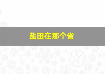 盐田在那个省