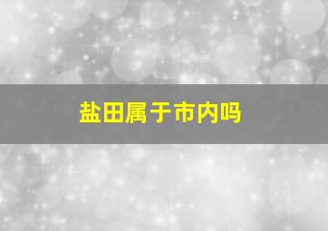 盐田属于市内吗