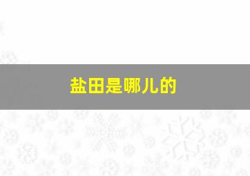 盐田是哪儿的