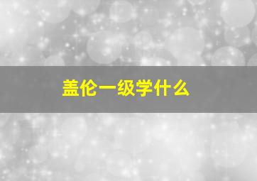 盖伦一级学什么