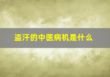 盗汗的中医病机是什么