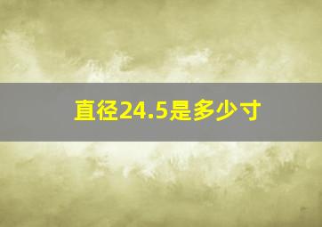 直径24.5是多少寸