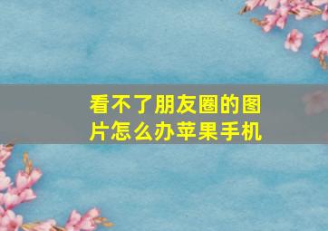 看不了朋友圈的图片怎么办苹果手机