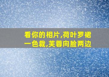 看你的相片,荷叶罗裙一色裁,芙蓉向脸两边