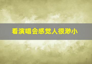 看演唱会感觉人很渺小