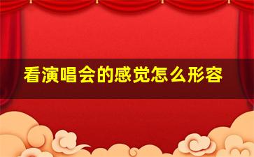 看演唱会的感觉怎么形容