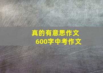 真的有意思作文600字中考作文