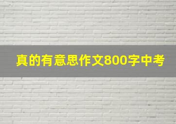 真的有意思作文800字中考