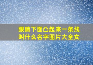 眼睛下面凸起来一条线叫什么名字图片大全女