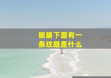 眼睛下面有一条纹路是什么