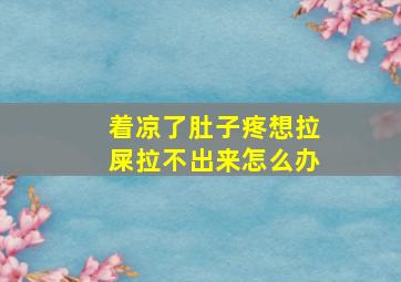 着凉了肚子疼想拉屎拉不出来怎么办