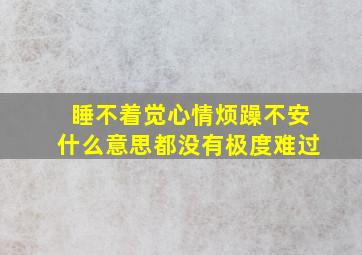 睡不着觉心情烦躁不安什么意思都没有极度难过