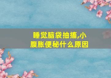 睡觉脑袋抽搐,小腹胀便秘什么原因